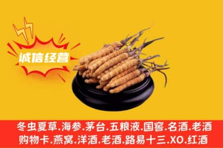 中卫海原县回收冬虫夏草